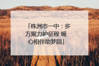 株洲市一中：多方聚力护征程 暖心相伴助梦圆